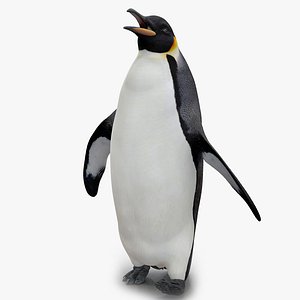 penguin pose 2 max