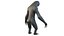 Cartoon Sloth Character