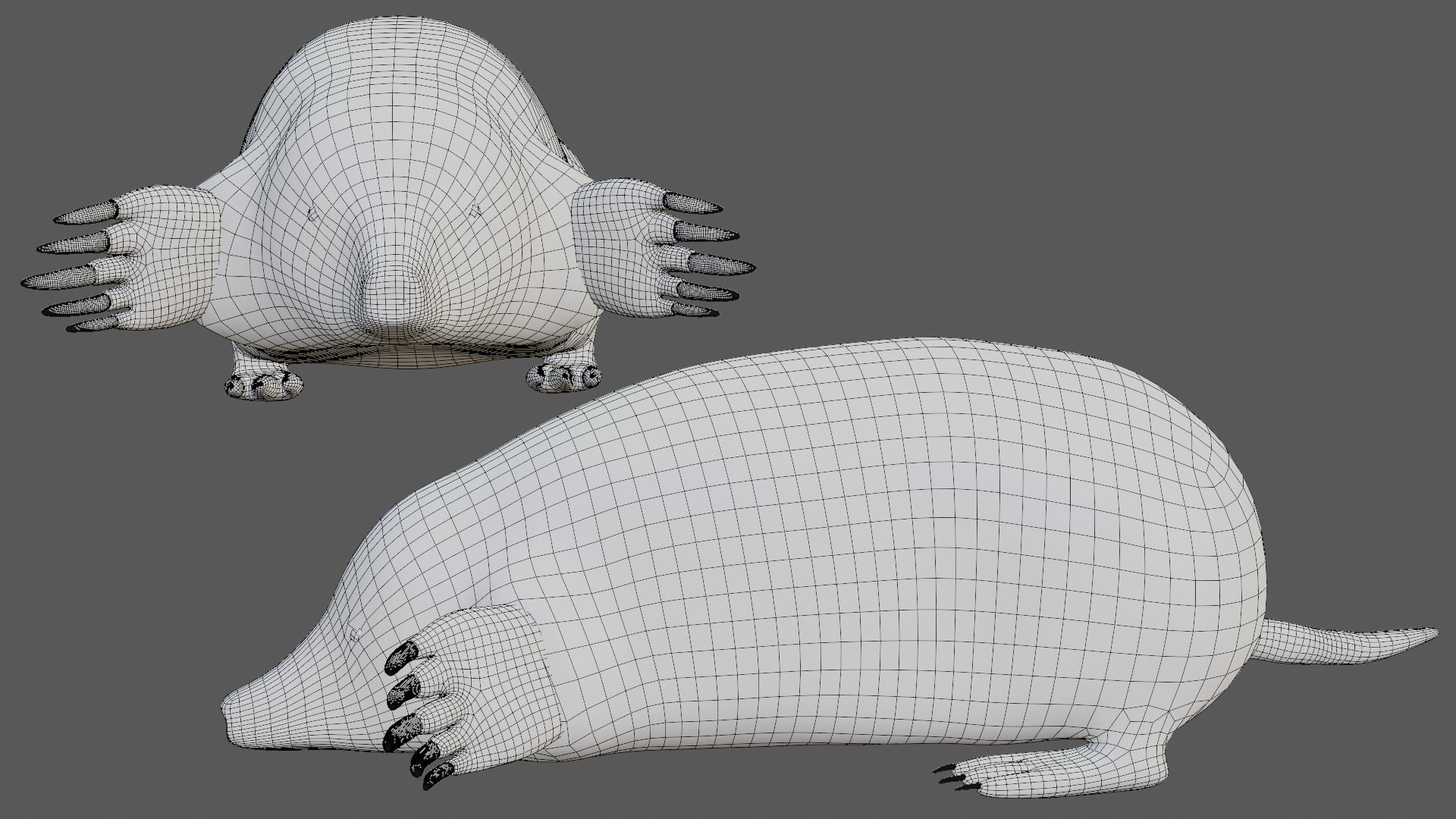 Mole 3D Model - TurboSquid 1724847