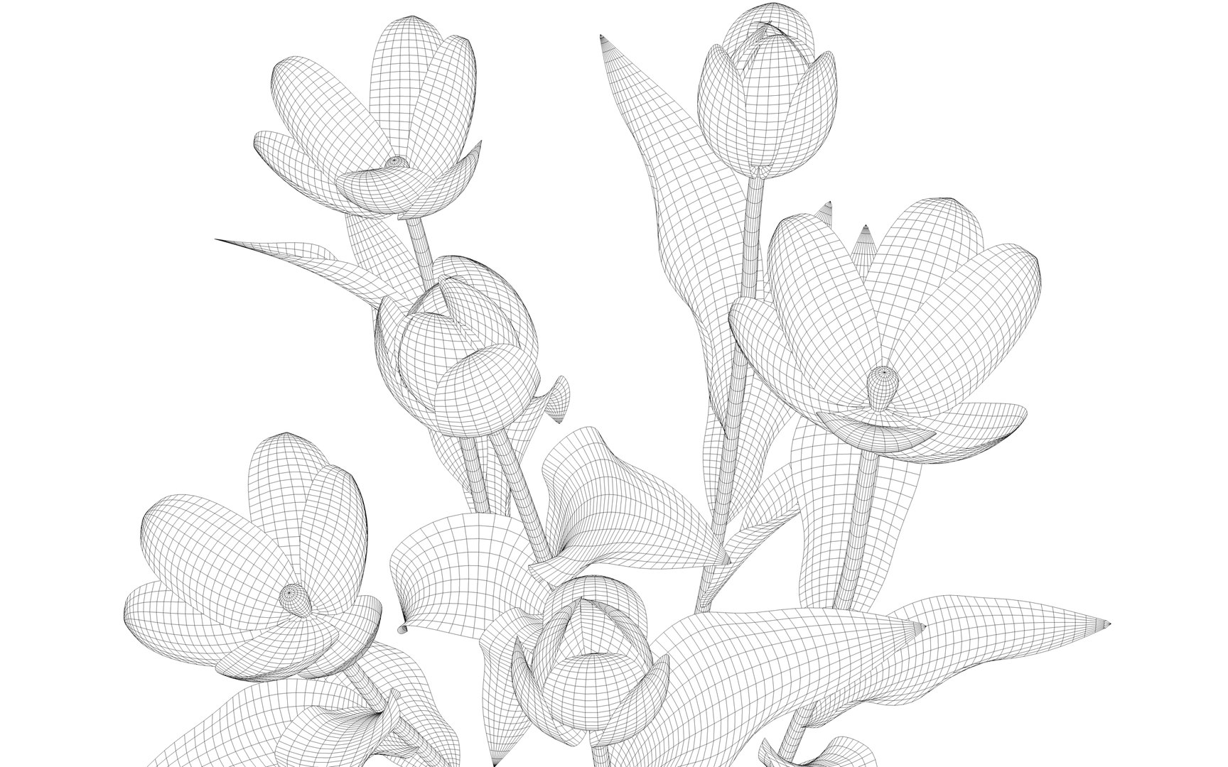 tulips interior 3D https://p.turbosquid.com/ts-thumb/Tu/pqZ9uL/4xIsGu0l/tulip8/png/1586279102/1920x1080/fit_q87/ce5e0b0a8c81e70fb66a97c9cbc8997a3d14f009/tulip8.jpg