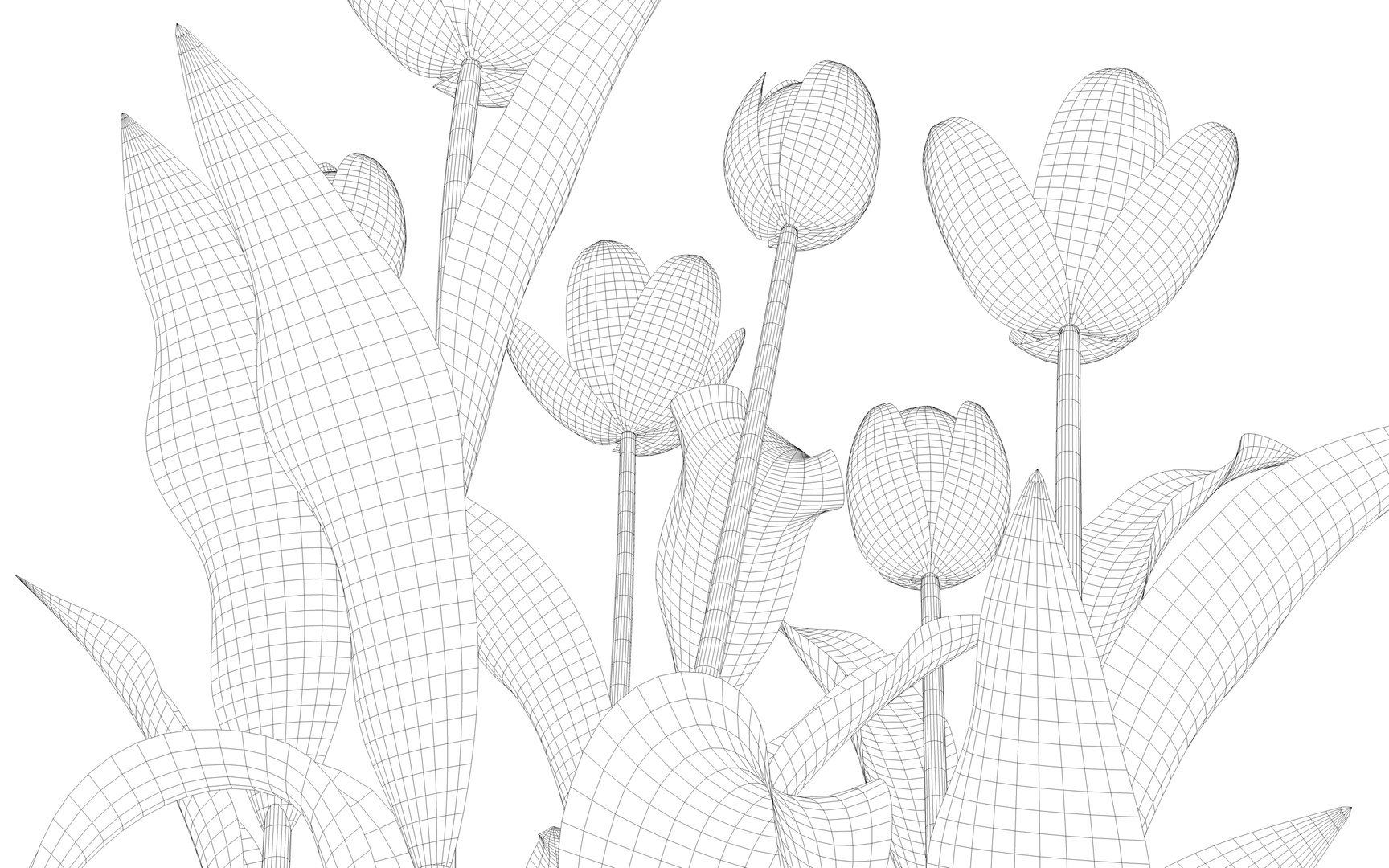 tulips interior 3D https://p.turbosquid.com/ts-thumb/Tu/pqZ9uL/COrlwQfX/tulip5/png/1586279102/1920x1080/fit_q87/ad284cd2b3b417c9e75e50d3835ba96cb28c71ba/tulip5.jpg