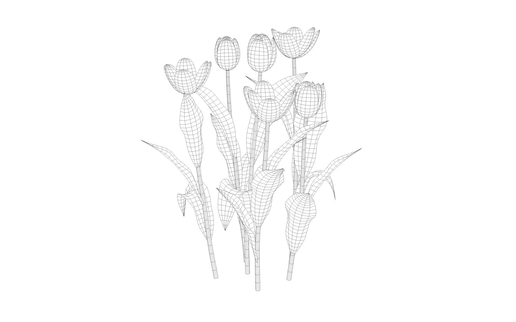 tulips interior 3D https://p.turbosquid.com/ts-thumb/Tu/pqZ9uL/EACjQaAM/tulip3/png/1586279102/1920x1080/fit_q87/4eba531fb2b236615651cf6aae8e49fcf798f35d/tulip3.jpg