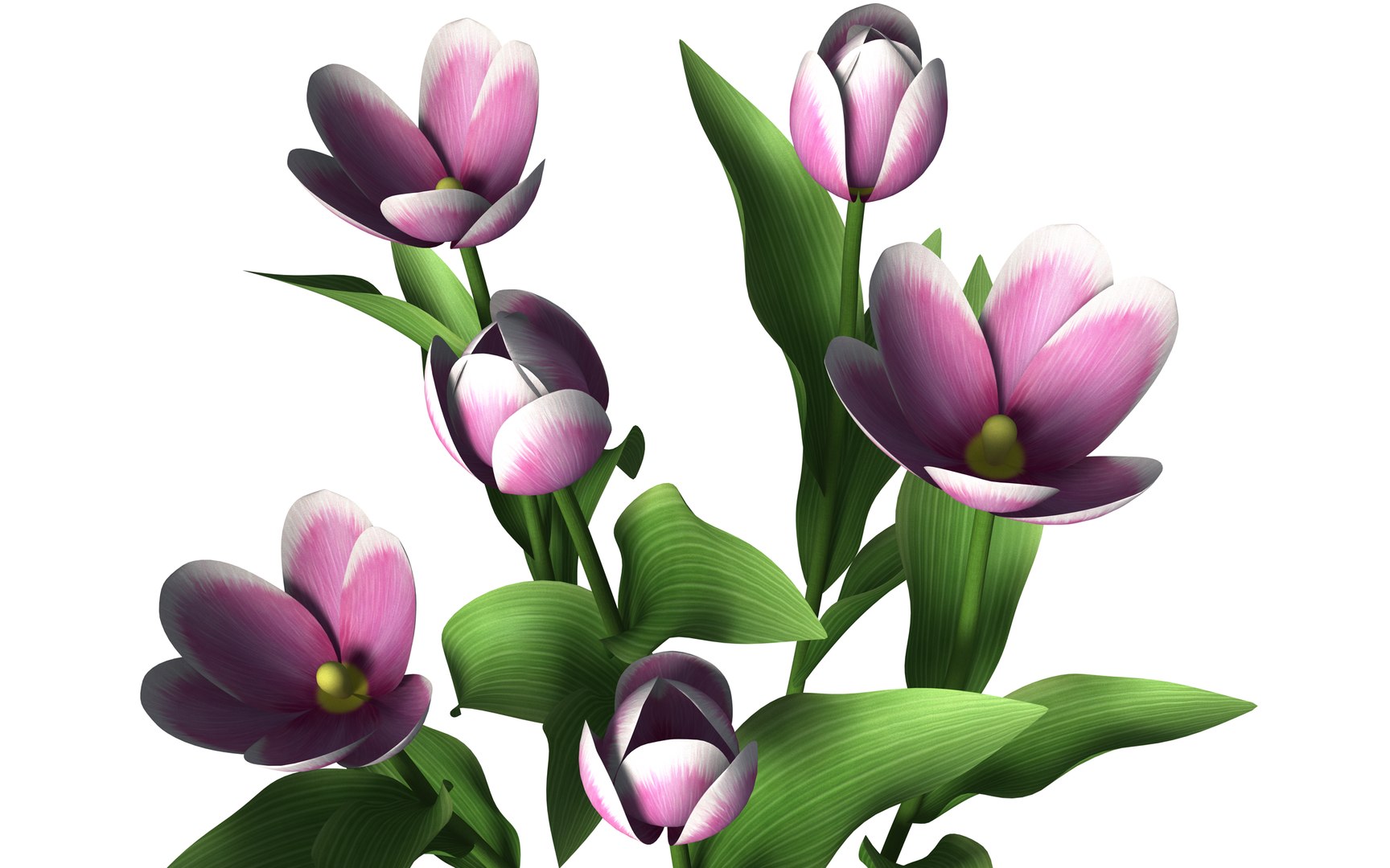 tulips interior 3D https://p.turbosquid.com/ts-thumb/Tu/pqZ9uL/KF8AsBWJ/tulip7/png/1586279102/1920x1080/fit_q87/ad4ca5eaa4afd29cc54f1ca50dccddddde2c74f8/tulip7.jpg