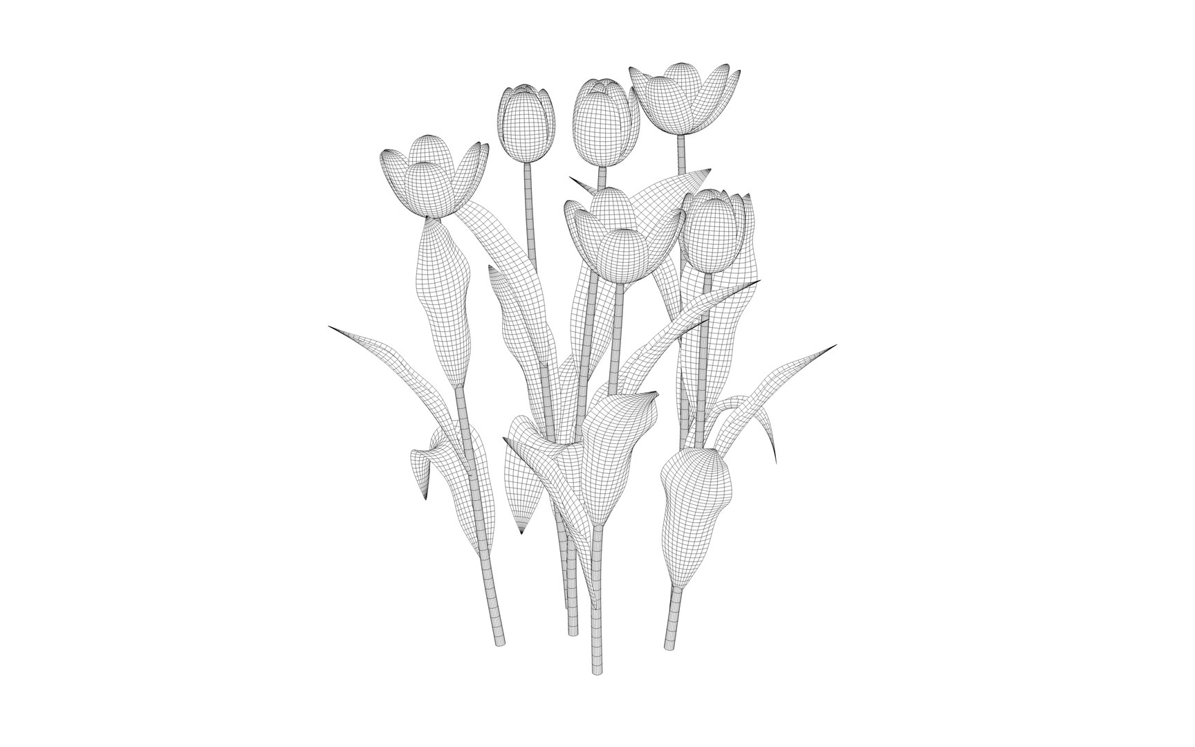 tulips interior 3D https://p.turbosquid.com/ts-thumb/Tu/pqZ9uL/Z1YVUR8T/tulip2/png/1586279102/1920x1080/fit_q87/efb5c39cbbced7b4d9e030d8a39978253f63e0c3/tulip2.jpg