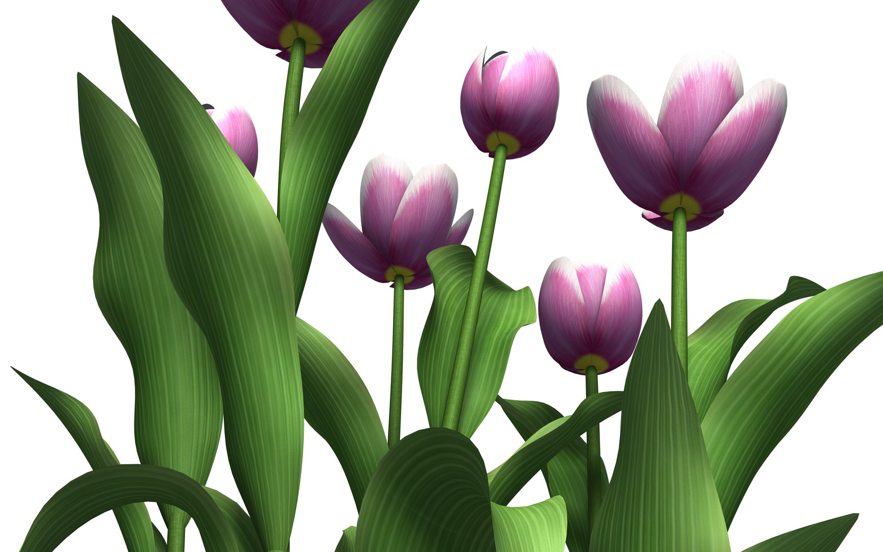 tulips interior 3D https://p.turbosquid.com/ts-thumb/Tu/pqZ9uL/tOFsdRzj/tulip4/png/1586279102/1920x1080/fit_q87/ec24146a97bb9a22029df334e700e57c9b041c22/tulip4.jpg