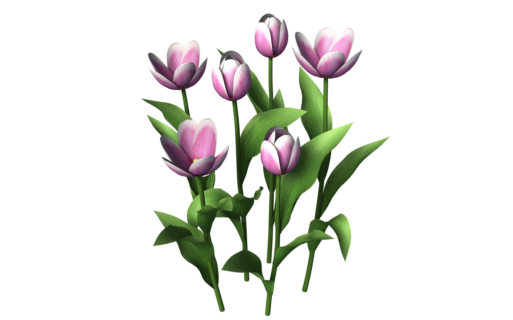 tulips interior 3D https://p.turbosquid.com/ts-thumb/Tu/pqZ9uL/tu611tZm/tulip0/png/1586278895/1920x1080/fit_q87/e37e7abc9a3fdc43a3001ab86cec31add65eb422/tulip0.jpg