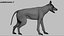 Shepherd Dog Anatomy 3D 3D model