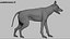 Shepherd Dog Anatomy 3D 3D model