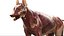 Shepherd Dog Anatomy 3D 3D model