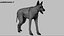 Shepherd Dog Anatomy 3D 3D model