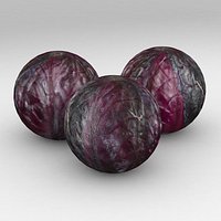 Vegetable Red Cabbage