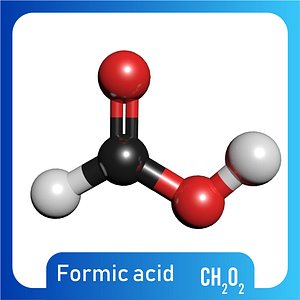 Formic Acid 3D Model CH2O2