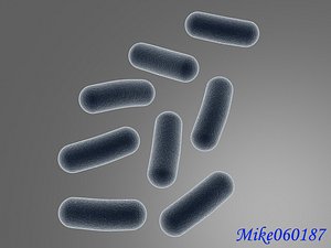 3d model bacteria
