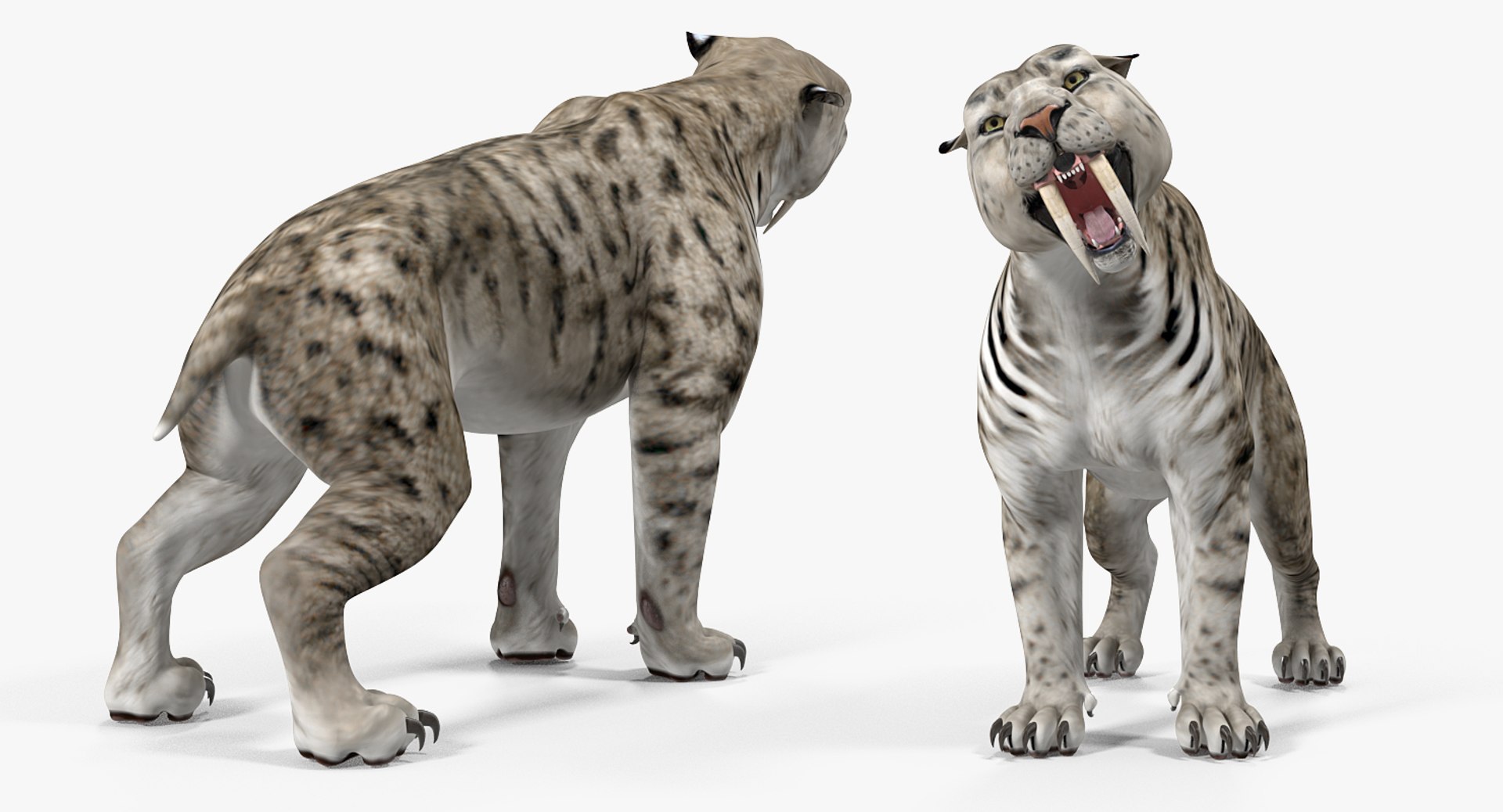 3D arctic saber tooth cat https://p.turbosquid.com/ts-thumb/Tv/8doKxA/Wbcx6Kl9/arcticsabertoothcatgrowlspose3dsmodel003/jpg/1537470940/1920x1080/fit_q87/d4afe7fe86ce81b51bdea9403c280b641ef30c0b/arcticsabertoothcatgrowlspose3dsmodel003.jpg