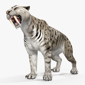 Arctic Saber Tooth Cat Growls Pose 3D Model