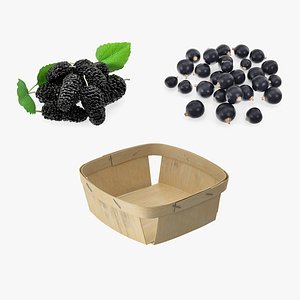 3D Basket with Berries Collection 2