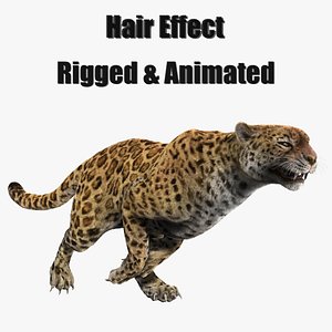 hair animation 3D