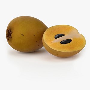 realistic sapodilla fruit real 3d obj