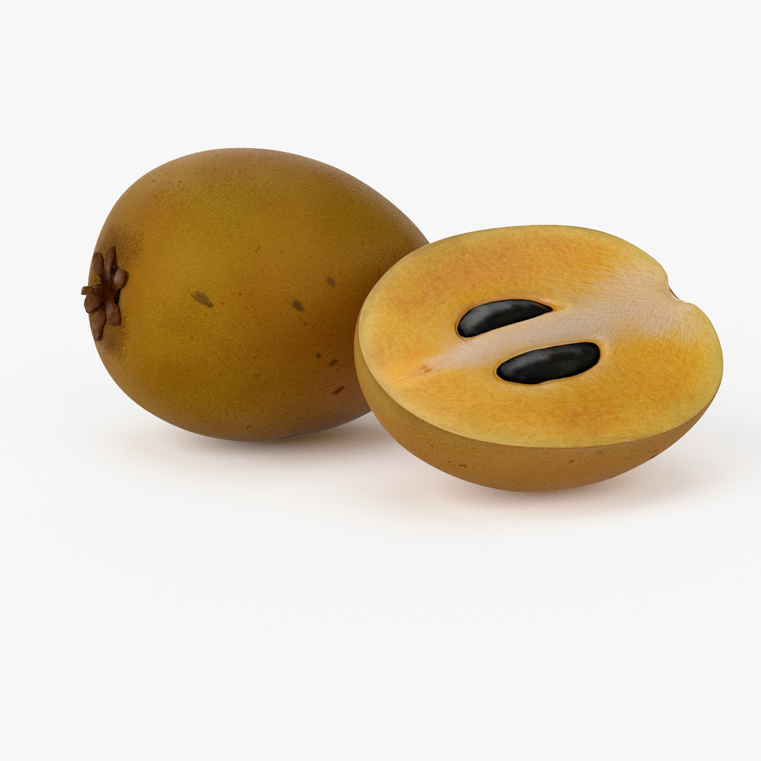 realistic sapodilla fruit real 3d obj