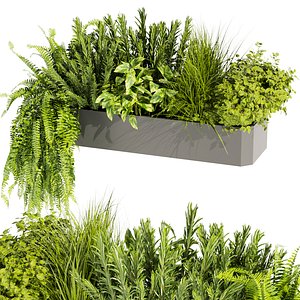 Collection plant vol 407 - Indoor - balcony - ampelous - blender - 3dmax - cinema 4d 3D model