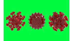 Coronavirus Imagined 3D rendering