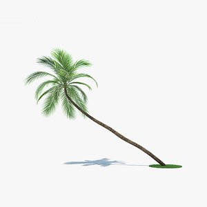 3D coconut palm