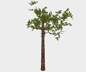 tree blender unity3d model