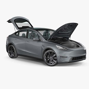 3D Tesla Model Y Silver Rigged for Maya model