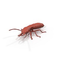 Termite in Creeping Pose for  Print