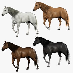 Horses Bundle (Animated) (Fur)