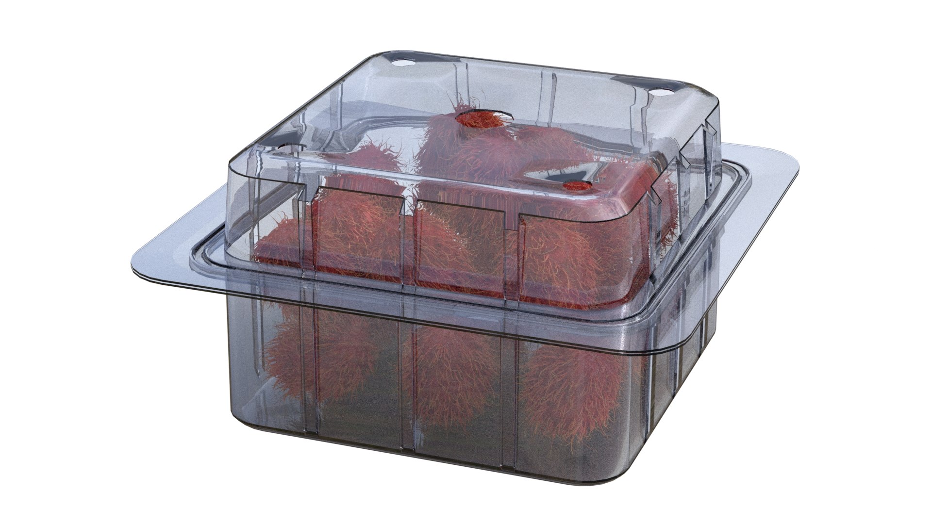 Fruit Box Plastic Transparent Rambutan 3D Model - TurboSquid 2567387