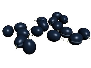 black grape 3D model