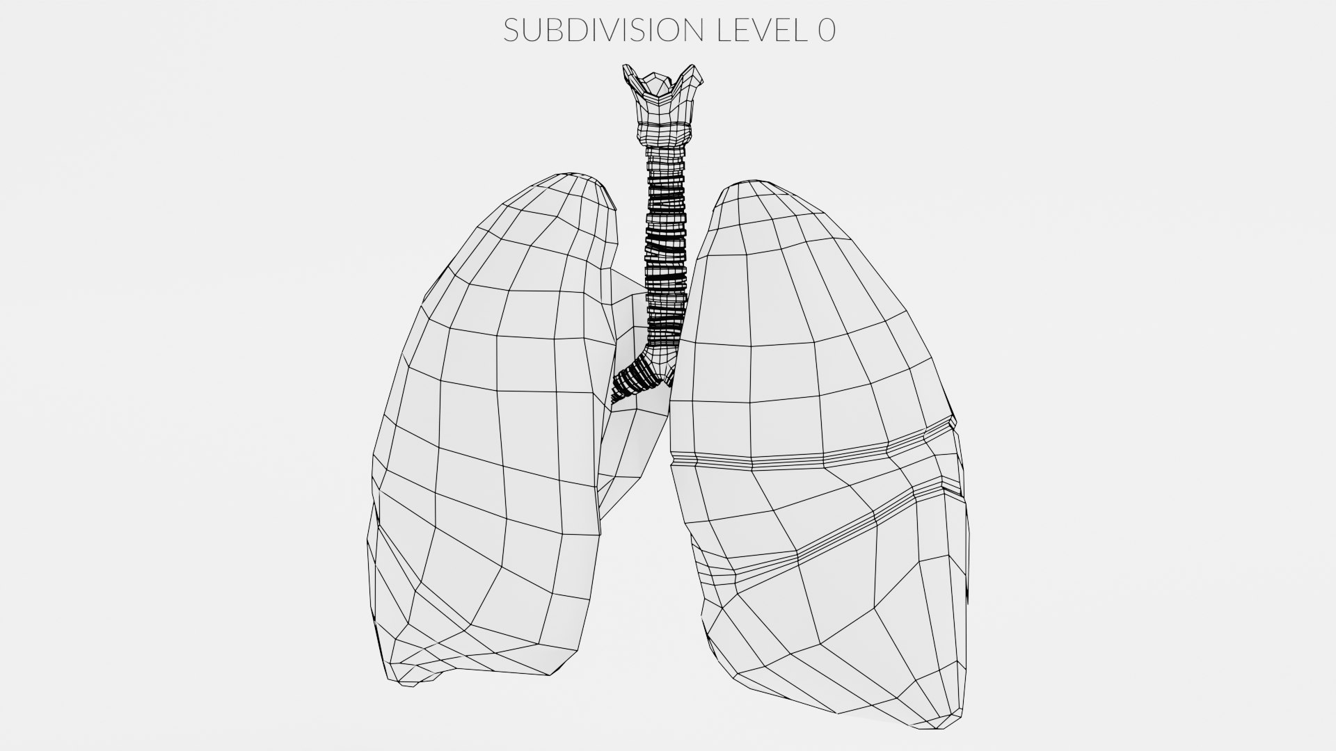 Smoker Lungs 3D model TurboSquid 1839098
