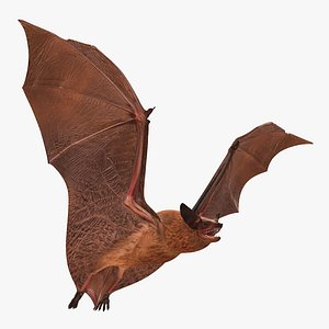 Flying Bat