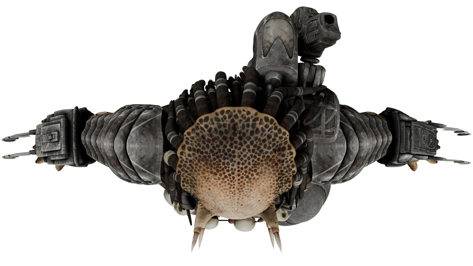 Predator Model - TurboSquid 2218637
