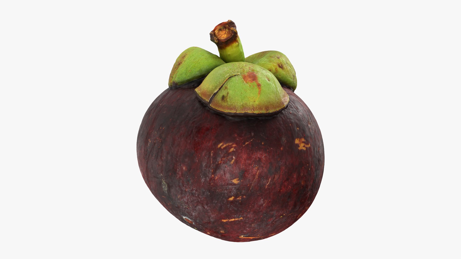 3D model Mangosteen 01 https://p.turbosquid.com/ts-thumb/Tw/Cx0jeK/2C/mangosteen01_0009/png/1764921446/1920x1080/fit_q87/265345ba30dfd50eca1a2aa4fe934d8f4dc4f3df/mangosteen01_0009.jpg