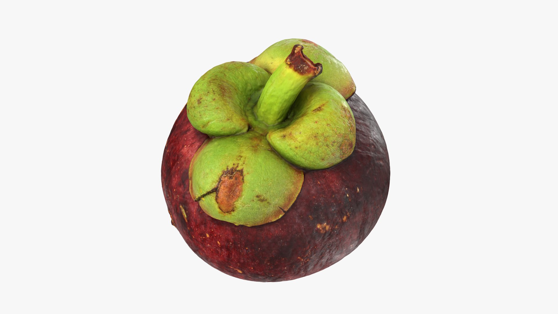 3D model Mangosteen 01 https://p.turbosquid.com/ts-thumb/Tw/Cx0jeK/3b/mangosteen01_0003/png/1764921427/1920x1080/fit_q87/5f800f787324464e4b517656ca20c096ca9fc125/mangosteen01_0003.jpg