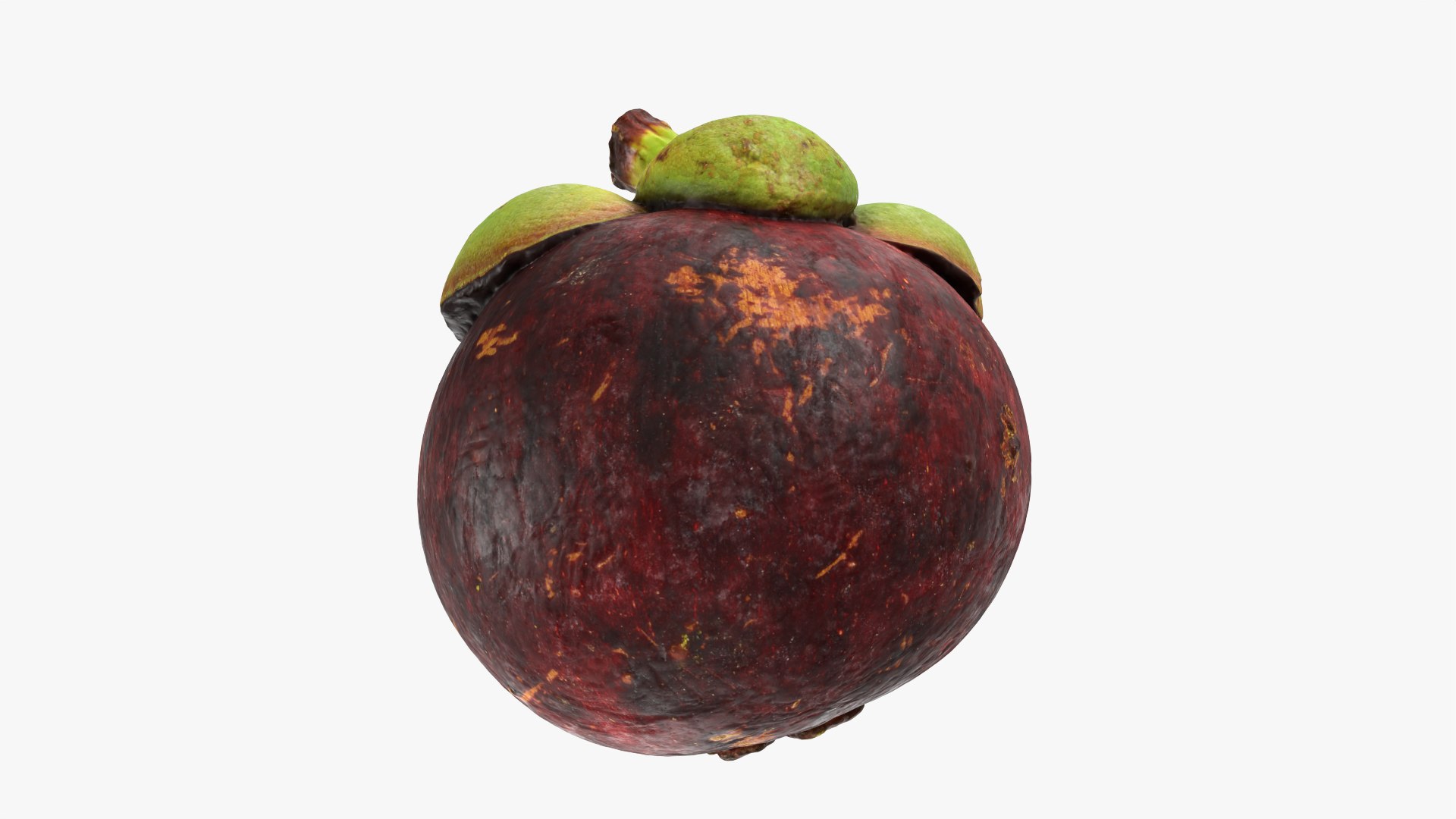3D model Mangosteen 01 https://p.turbosquid.com/ts-thumb/Tw/Cx0jeK/4D/mangosteen01_0011/png/1764921445/1920x1080/fit_q87/7af7076b1b5769814713204ffc9c8d87b058ed2d/mangosteen01_0011.jpg
