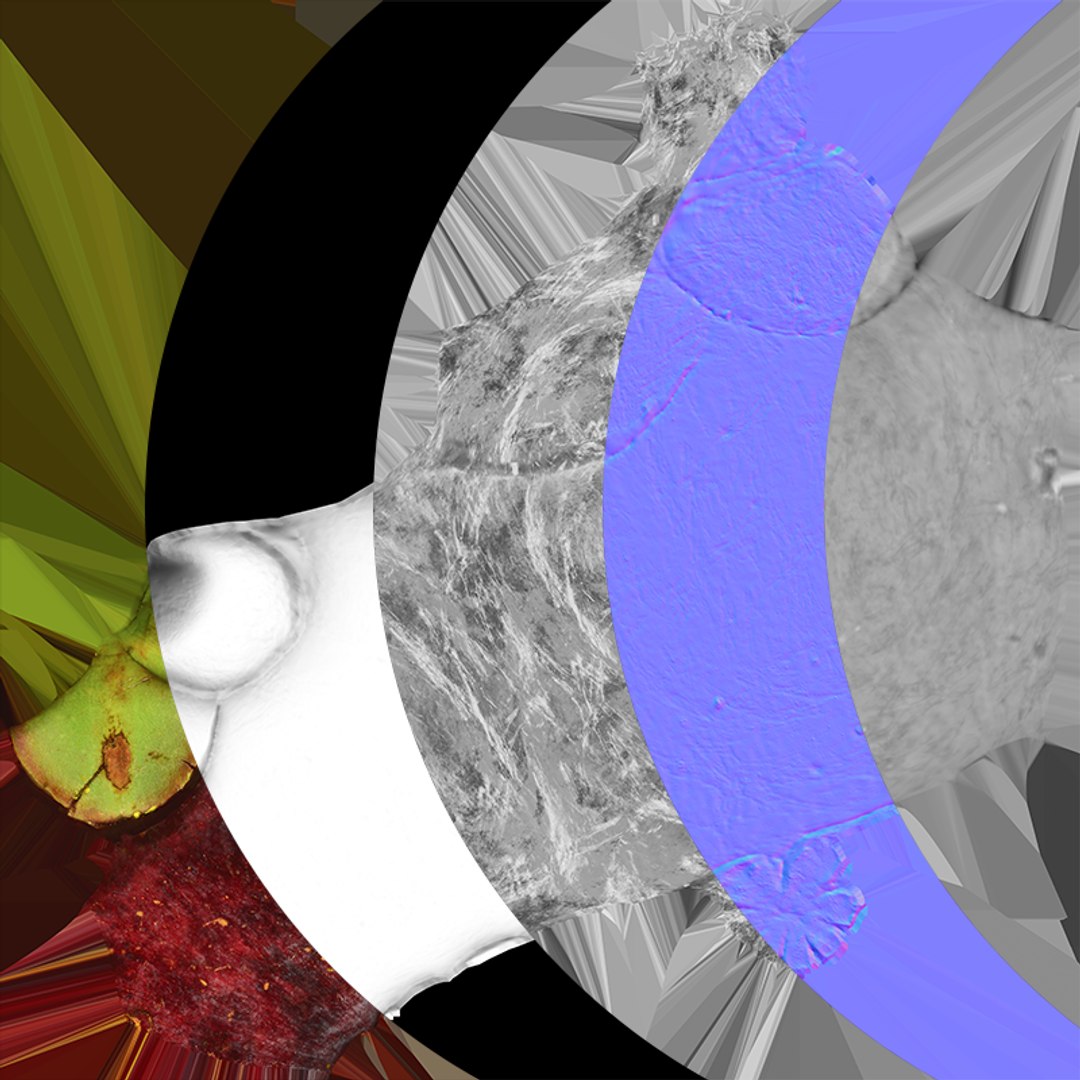 3D model Mangosteen 01 https://p.turbosquid.com/ts-thumb/Tw/Cx0jeK/Dy/mangosteen01_c0005/png/1764921448/1920x1080/fit_q87/2d43799ae18a4b8eb9c02b46d4ed2ae9df673cfa/mangosteen01_c0005.jpg