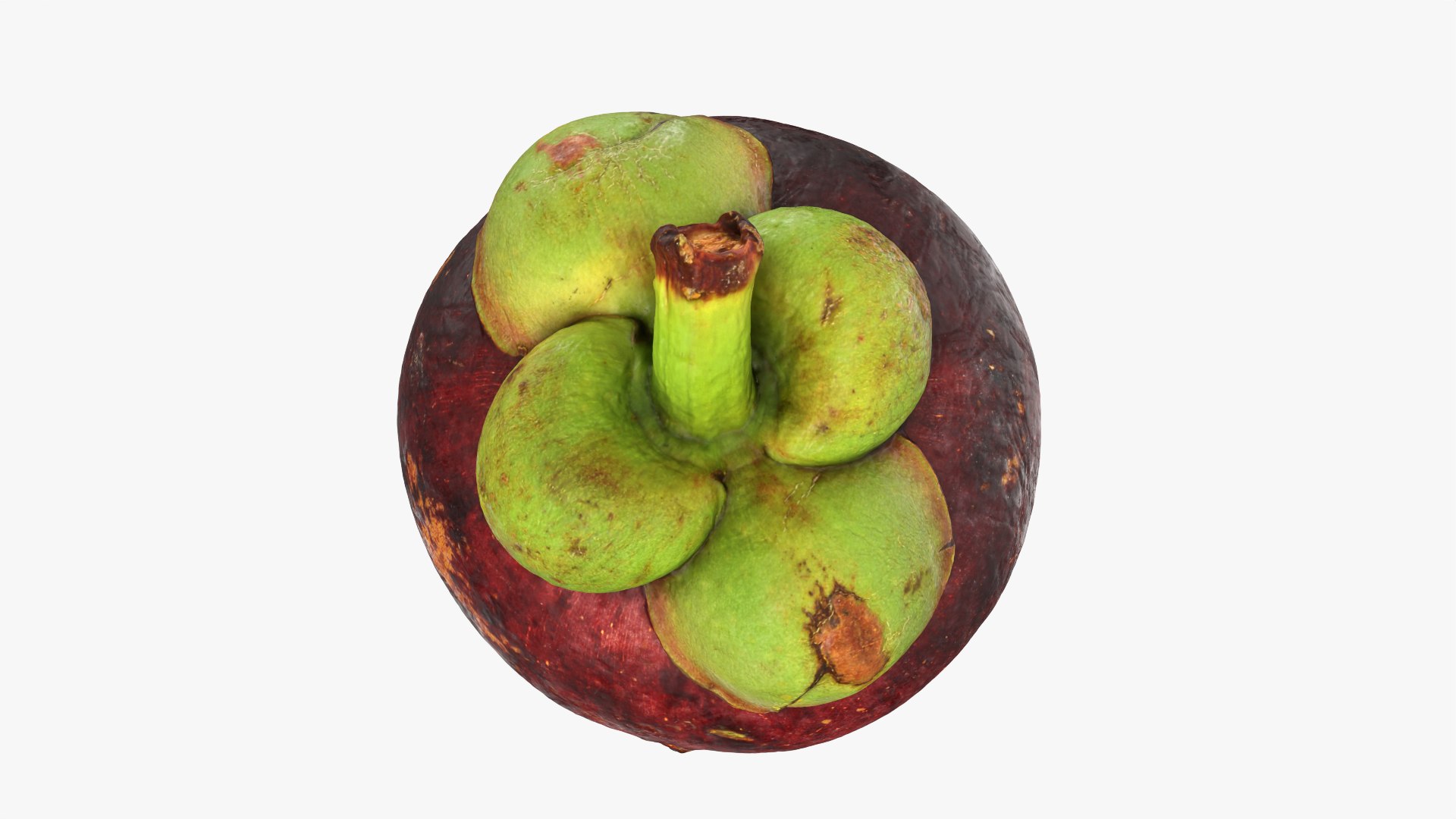 3D model Mangosteen 01 https://p.turbosquid.com/ts-thumb/Tw/Cx0jeK/OK/mangosteen01_0010/png/1764921444/1920x1080/fit_q87/32b6c7517fed4db3745fd61dea452f91437fb13f/mangosteen01_0010.jpg