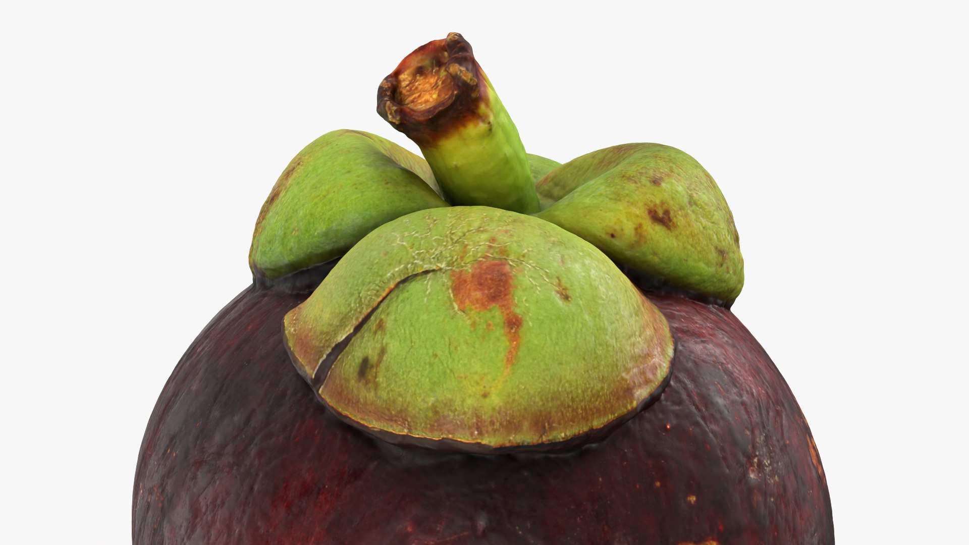 3D model Mangosteen 01 https://p.turbosquid.com/ts-thumb/Tw/Cx0jeK/Rp/mangosteen01_0012/png/1764921452/1920x1080/fit_q87/118c30e1312eb93093e44c855e3f4586c07021af/mangosteen01_0012.jpg
