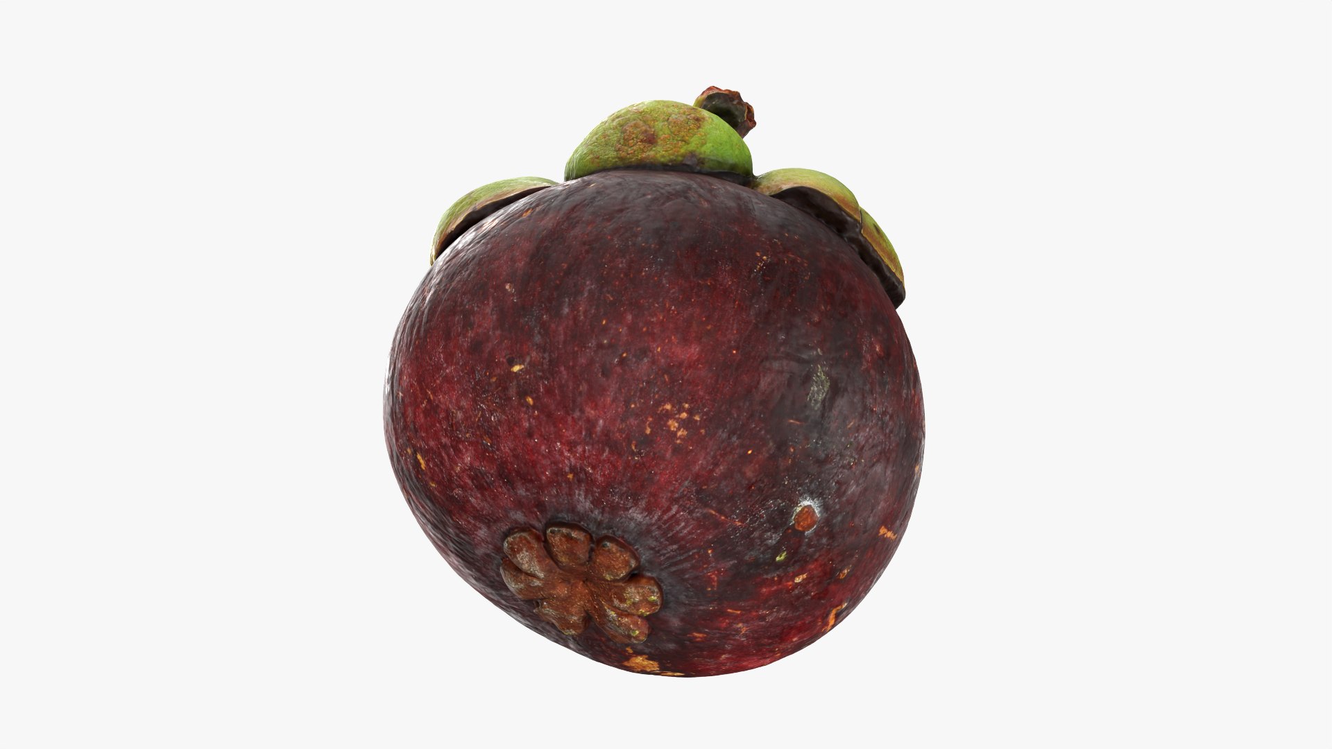 3D model Mangosteen 01 https://p.turbosquid.com/ts-thumb/Tw/Cx0jeK/a3/mangosteen01_0005/png/1764921438/1920x1080/fit_q87/ad4951c1af1dd3cc462a07d1437e37aec5d952bf/mangosteen01_0005.jpg