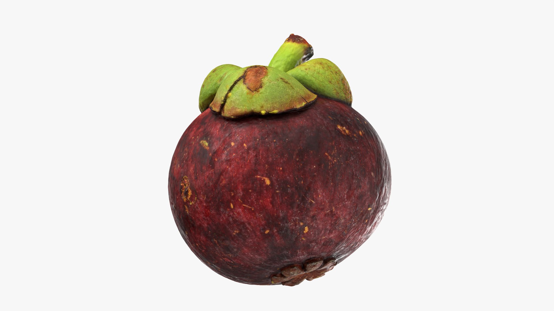 3D model Mangosteen 01 https://p.turbosquid.com/ts-thumb/Tw/Cx0jeK/d3/mangosteen01_0002/png/1764921426/1920x1080/fit_q87/abb521c04593f4e36a1c7d98b4818885bdbd3b26/mangosteen01_0002.jpg