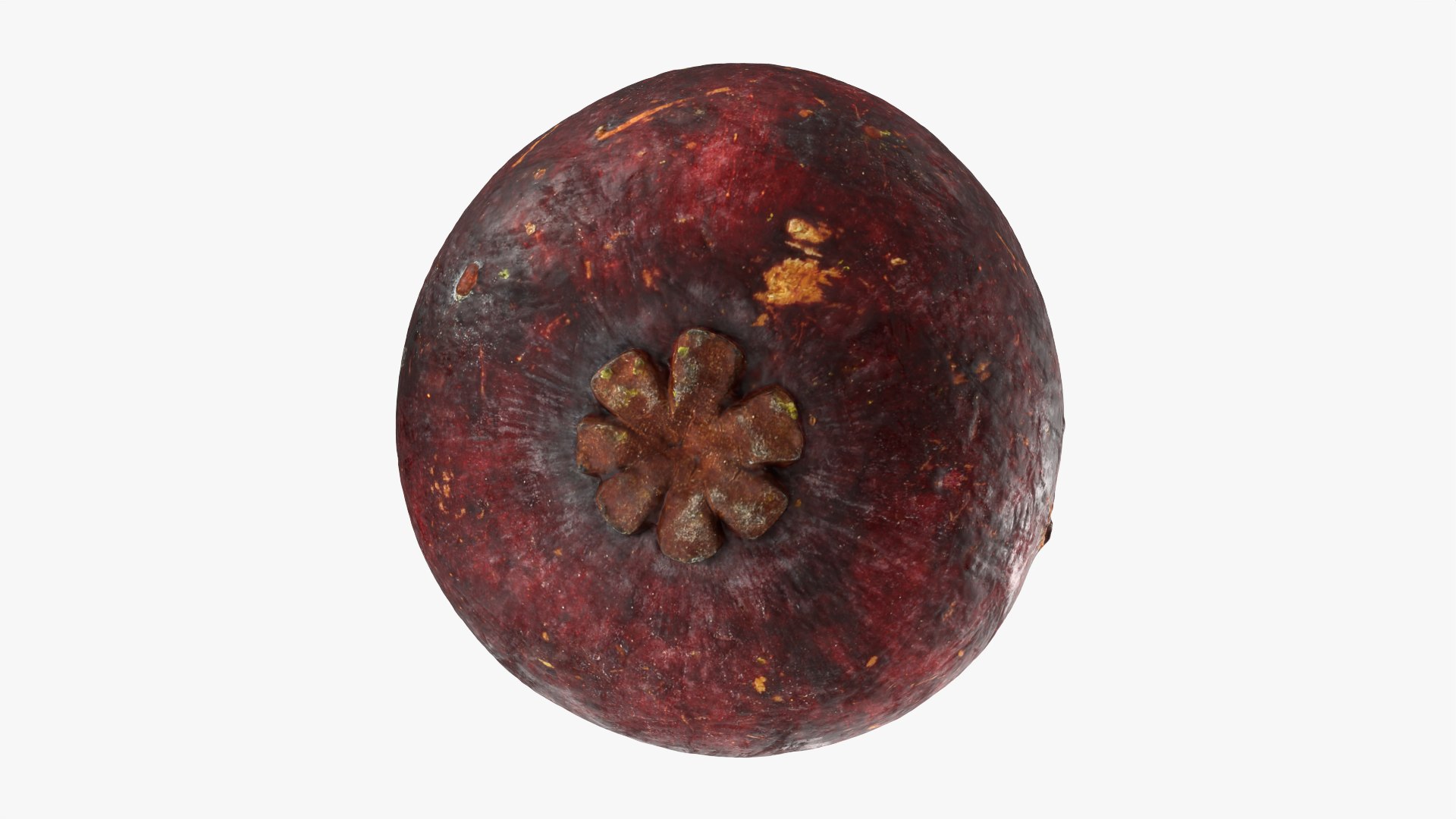 3D model Mangosteen 01 https://p.turbosquid.com/ts-thumb/Tw/Cx0jeK/dO/mangosteen01_0008/png/1764921440/1920x1080/fit_q87/72b958d0478d78f943a72e1ab063b75adf1e675e/mangosteen01_0008.jpg