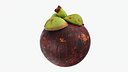 Mangosteen 01