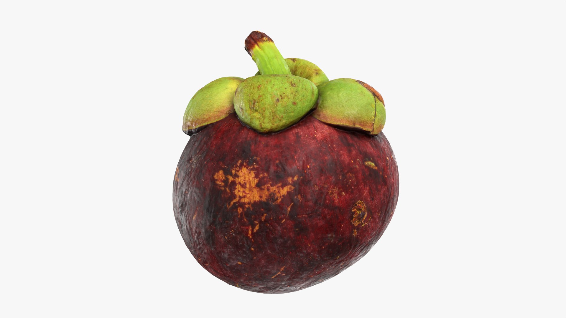 3D model Mangosteen 01 https://p.turbosquid.com/ts-thumb/Tw/Cx0jeK/og/mangosteen01_0007/png/1764921439/1920x1080/fit_q87/94c81b90844439a51388f8e8a4f62a57d1cb47f5/mangosteen01_0007.jpg