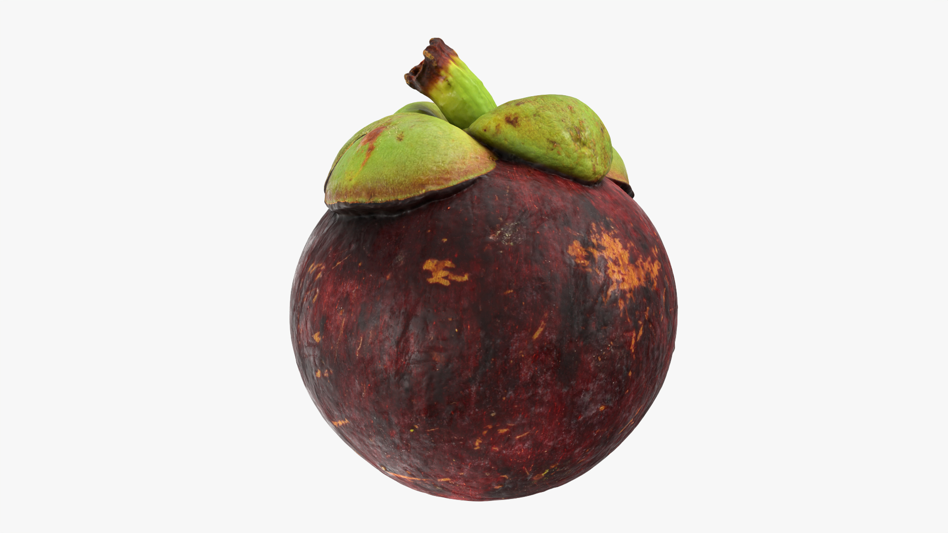 3D model Mangosteen 01 https://p.turbosquid.com/ts-thumb/Tw/Cx0jeK/rO/mangosteen01/png/1765618467/1920x1080/turn_fit_q99/0fcf46ad07954e74aebde651d51fa22c51ff8fc6/mangosteen01-1.jpg