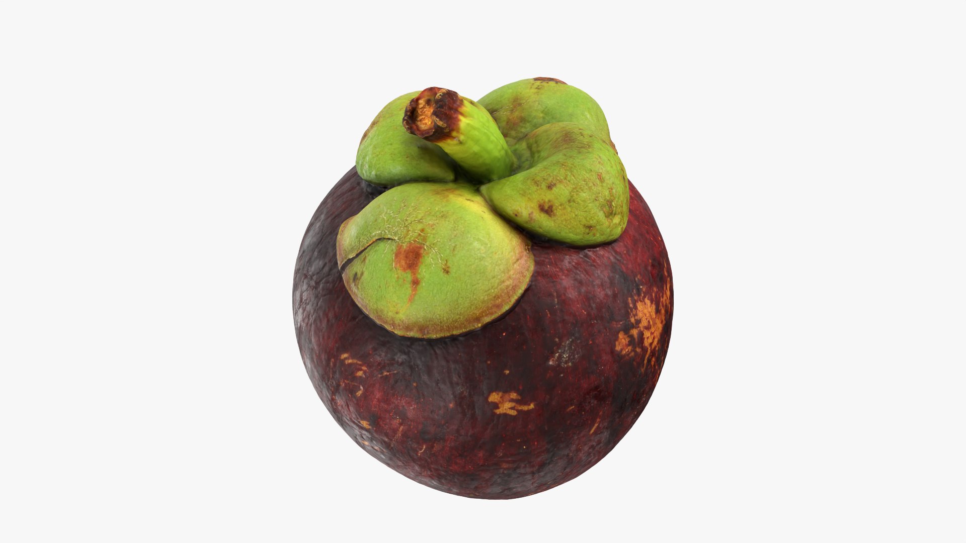 3D model Mangosteen 01 https://p.turbosquid.com/ts-thumb/Tw/Cx0jeK/tK/mangosteen01_0006/png/1764921432/1920x1080/fit_q87/2dc90b0e067113446e0d82447a0b1995d065c2c0/mangosteen01_0006.jpg