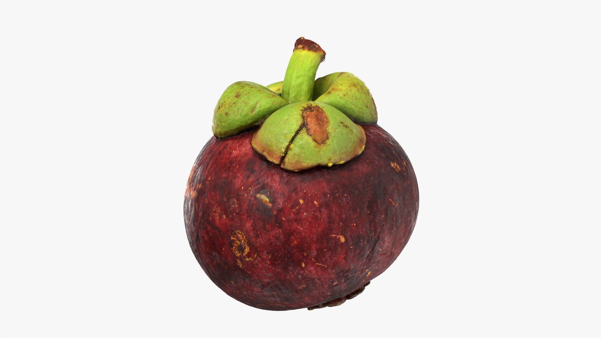 3D model Mangosteen 01 https://p.turbosquid.com/ts-thumb/Tw/Cx0jeK/w1/mangosteen01_0004/png/1764921432/1920x1080/fit_q87/87a709cb170b1d79dff01c6d9b262d30b4e6f5b1/mangosteen01_0004.jpg