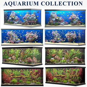 aquarium collection 3D model